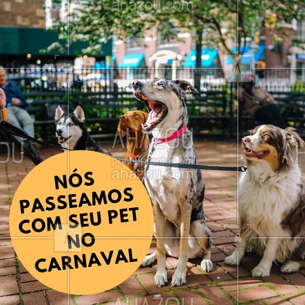 posts, legendas e frases de dog walker & petsitter para whatsapp, instagram e facebook: Vai curtir o carnaval? Deixa que nós passeamos com o seu pet #pet #dogwalker#ahazoupet #ahazou #cachorro