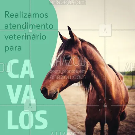 posts, legendas e frases de veterinário para whatsapp, instagram e facebook: Realizamos exames, vacinas e medicamentos, para ajudar no cuidado e recuperação do seu cavalo ? #ahazoupet #veterinária #cavalo #cuidados #atendimento #equino 