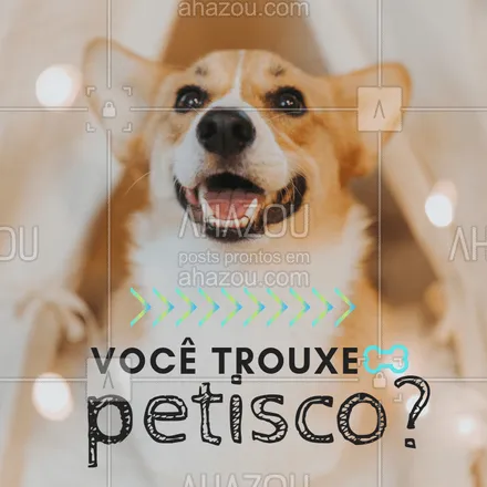 posts, legendas e frases de assuntos variados de Pets para whatsapp, instagram e facebook: O olhinho chega a brilhar! ?? #pet #ahazou #petisco
