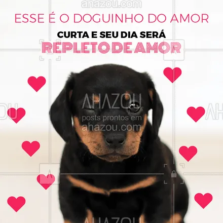 posts, legendas e frases de assuntos variados de Pets para whatsapp, instagram e facebook: Não pode ignorar o doguinho do amor, né? ❤️ #cachorro #ahazou #dog 