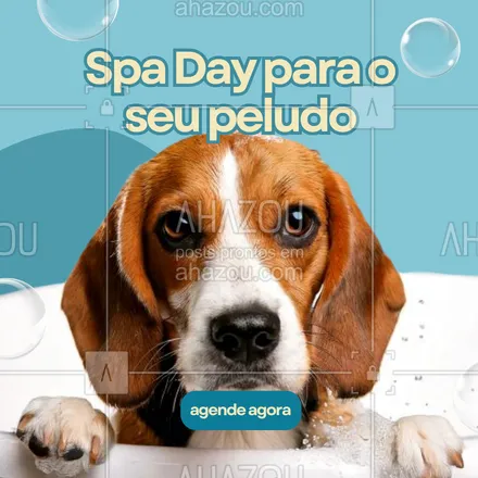 posts, legendas e frases de petshop para whatsapp, instagram e facebook: Tem coisa melhor do que se sentir fresquinho e bem cuidado? 😌 O Spa Day do seu pet está te esperando! Venha proporcionar um dia especial para ele com nosso banho e tosa de qualidade. É mais saúde e carinho para o seu amigo! 🐕 #SpaParaPets #BanhoETosa #PetLimpinho #AhazouPet #petshop #serviçosdepetshop #banho #tosa