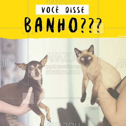 posts, legendas e frases de petshop, assuntos variados de Pets para whatsapp, instagram e facebook: Peraí, alguém falou em BANHO??? #pet  #ahazou #banho