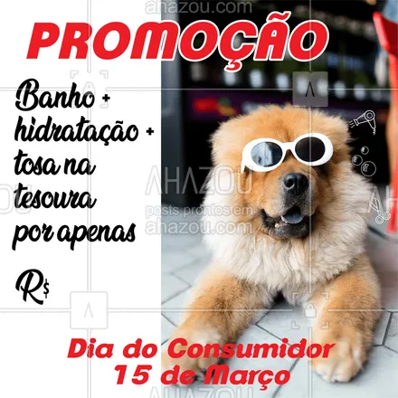 posts, legendas e frases de petshop para whatsapp, instagram e facebook: Aproveite o Dia Mundial do Consumidor e traga seu pet para se cuidar!??
#pet #banho #tosa #ahazou #diadoconsumidor #promocao 
