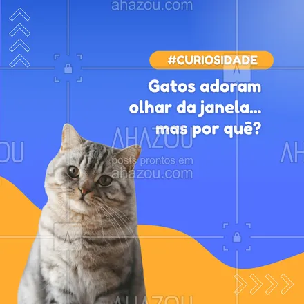 posts, legendas e frases de petshop para whatsapp, instagram e facebook: 🌄 Os gatos são animais curiosos e observadores! Eles amam olhar pela janela para ver o movimento e vigiar o "território". Isso os entretém e os deixa em paz com a natureza! 🌱
#AmorDeGato #CuriosidadesFelinas #ComportamentoDeGatos #AhazouPet #petshop 