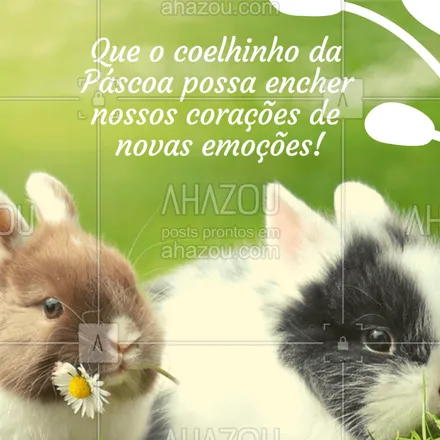 posts, legendas e frases de posts para todos para whatsapp, instagram e facebook: Uma Feliz Páscoa pra você!
#pascoa #ahazou #felizpascoa