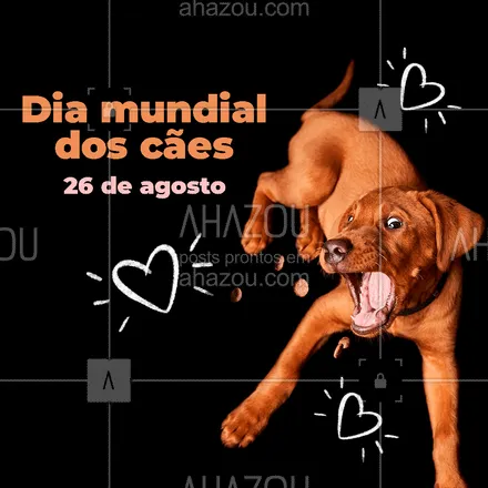 posts, legendas e frases de assuntos variados de Pets para whatsapp, instagram e facebook: Hoje é dia mundial de todos os cães! Obrigado por tudo!🐶❤️ #diamundialdoscães #cães   #AhazouPet  #dogs #petlovers