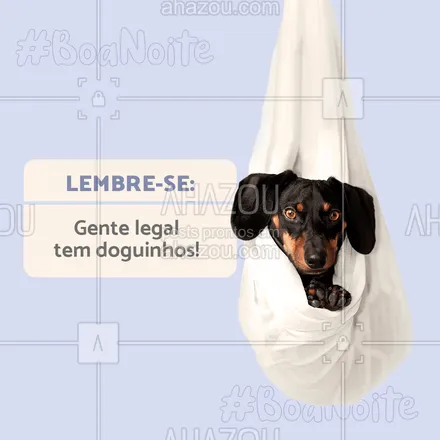 posts, legendas e frases de assuntos variados de Pets para whatsapp, instagram e facebook: Durma com a consciência tranquila e acorde com certeza de que um dia melhor está por vir!
Se der, durma com seu doguinho, não tem parceiro melhor de sono.
#AhazouPet #dogs  #cats  #ilovepets  #petlovers  #petoftheday #frase