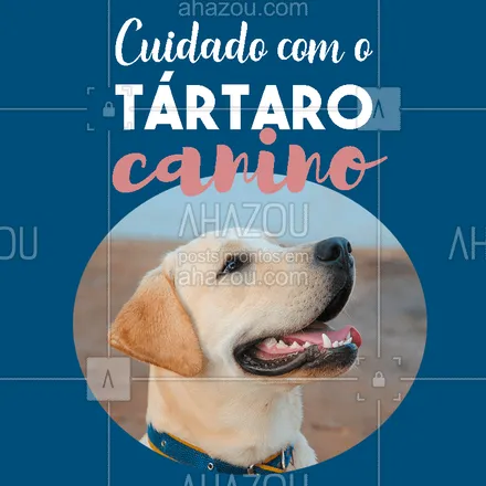 posts, legendas e frases de veterinário para whatsapp, instagram e facebook: O tártaro pode ser extremamente perigoso para seu cachorro.
Deve-se então escovar diariamente os dentes do seu cão, utilizando pasta de dente canina. Se você não acostumou seu cão com a escovação desde filhote e tem medo de fazê-la, leve-o ao veterinário.
#veterinario #ahazoupet #tartaro