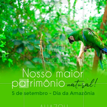posts, legendas e frases de posts para todos para whatsapp, instagram e facebook: Hoje é dia de um dos patrimônios naturais mais valiosos de toda a humanidade e a maior reserva natural do planeta, a Amazônia. Preserve! #amazonia #sosamazonia #ahazou  #motivacionais