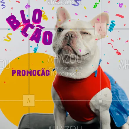 posts, legendas e frases de assuntos variados de Pets para whatsapp, instagram e facebook: PROMOCÃO DE CARNAVAL!
???
#pet #petlovers #cachorro #pets #ahaozupet #carnacão