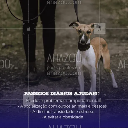 posts, legendas e frases de dog walker & petsitter para whatsapp, instagram e facebook: Já imaginou que passear tinha todos esses benefícios? ?? #cachorro #ahazoupet #dogwalker #passeio 