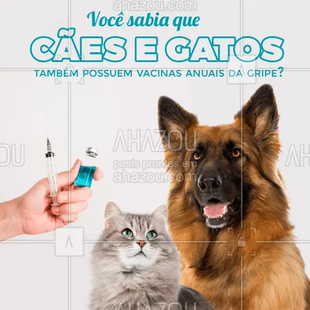 posts, legendas e frases de veterinário para whatsapp, instagram e facebook: A gripe também é uma doença respiratória comum entre cães e gatos, principalmente na época de inverno. Por isso, todo ano sai uma vacina contra os vírus e bactérias mais recorrentes, que evitam tosse, espirros e desconfortos em geral para seu pet.  #AhazouPet  #medicinaveterinaria #medvet #vetpet #clinicaveterinaria #petvet #veterinario #vet #veterinaria
