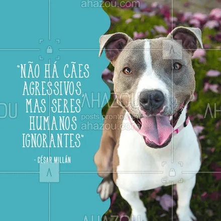 posts, legendas e frases de assuntos variados de Pets para whatsapp, instagram e facebook: Com uma criação e um adestramento adequado, todo pet é amoroso! ❤️
#cachorro #ahazou #adestramento #pets