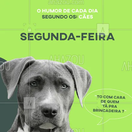 posts, legendas e frases de assuntos variados de Pets para whatsapp, instagram e facebook: Alguém aí se identifica com o Humor de Segunda? ?
#segundafeira #pet #ahazou #humor
