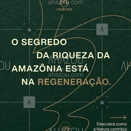 posts, legendas e frases de natura para whatsapp, instagram e facebook: A Amazônia está no topo da lista dos mais ricos do mundo. Colocamos a nossa floresta na capa da Forbes para mostrar que nenhuma fortuna é maior do que a riqueza que a Amazônia viva é capaz de produzir. A ação faz parte do início das  comemorações dos 55 da Natura.

#descriçãodaimagem: Postagem em formato carrossel. Na primeira peça, uma imagem estática com textura de tecido sofisticado verde escuro, ostentando o logo dourado da Natura e o texto: “O segredo da riqueza da Amazônia está na regeneração.” A segunda peça exibe uma imagem estática dividida ao meio: a metade superior exibe a floresta amazônica vista de cima, enquanto a metade inferior apresenta um dado: “2,5 bilhões de reais em negócios na região da Amazônia.” Na terceira peça, a parte superior da imagem mostra uma imagem sobre uma textura de tecido sofisticado, acompanhada de um texto contendo um dado: “10,1 mil famílias beneficiadas financeiramente.” Na parte inferior da imagem, uma trabalhadora da cooperativa de coleta de sementes na Amazônia sorri para a câmera. A quarta peça apresenta uma foto de árvores com o céu azul na parte superior da imagem, enquanto a parte inferior exibe um dado: “2,2 milhões de hectares da floresta conservados.” Na última peça, a parte superior exibe um texto: “Pesquisa e desenvolvimento de 44 bioingredientes, entre eles o Tukumã, que regenera a floresta.” Na parte inferior, uma foto de um cesto cheio de frutos de Tukumã. #AhazouNatura #ahazourevenda