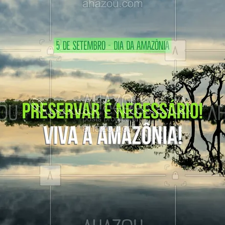 posts, legendas e frases de posts para todos para whatsapp, instagram e facebook: Hoje é dia da Amazônia, que serve de lar para 2,5 milhões de espécies de insetos, sendo que mais da metade vive na copa das árvores. Preservar nossa floresta é essencial para a sobrevivência do planeta Terra! #amazonia #preserve #ahazou  #motivacionais