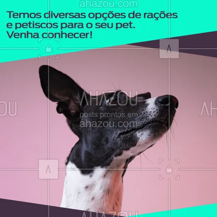 posts, legendas e frases de petshop para whatsapp, instagram e facebook: Sabe aquela variedade de comidinhas que você sempre sonhou para o seu pet? Nós temos!
#pet #ahazoupet #pestiscos