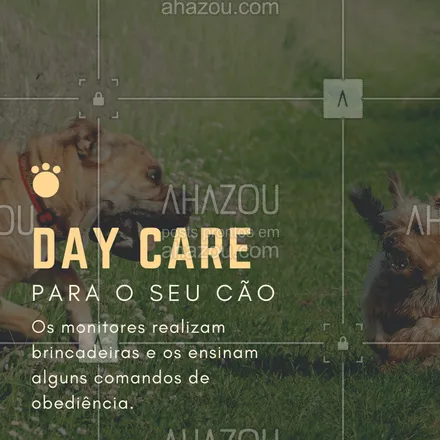 posts, legendas e frases de assuntos variados de Pets para whatsapp, instagram e facebook: Seu cachorro fica muito tempo sozinho? Você não tempo para brincar ou sair para passear com ele? Nós temos a solução. Traga-o para o nosso daycare e deixe seu amigão MUITO feliz! #pet #creche #daycare #ahazoupet #dog #hotelpet