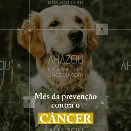 posts, legendas e frases de veterinário para whatsapp, instagram e facebook: Aproveite os benefícios da clínica nesse mês. Traga o seu pet! #pet #veterinario #clinica #ahazoupet #promocao #prevencao