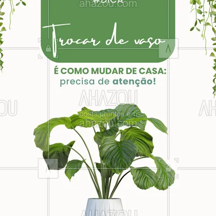 posts, legendas e frases de assuntos gerais de serviços para casa, arquitetura, design & decoração para whatsapp, instagram e facebook: O replantio deve ser feito com cuidado:
✨ Escolha um vaso maior com drenagem
✨ Use terra de qualidade
✨ Evite mexer demais nas raízes
Depois, deixe a planta se adaptar sem mudanças por uns dias.
#dicasdeplantas #replantio #cuidadocomplantas #vasonovo #vidaemverde #jardimfeliz