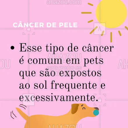 posts, legendas e frases de veterinário para whatsapp, instagram e facebook: Você conhece os tipos de câncer mais comuns que podem atingir nossos bichinhos de estimação? ARRASTA PARA O LADO e confira quais são eles. 

#AhazouPet #CarrosselAzh #Pets #AnimaisdeEstimação #Veterinario #VetPet #OncologiaVeterinária #CânceremPets #Cuidados #Dicas
