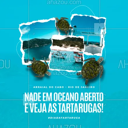 posts, legendas e frases de agências & agentes de viagem para whatsapp, instagram e facebook: Água calma e cristalina. É tudo o que você precisa, né!? ? #AhazouTravel #diadatartaruga #turismo #ecologico #oceano #AhazouTravel