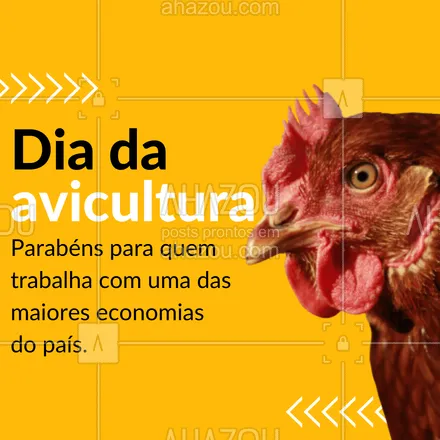 posts, legendas e frases de açougue & churrasco para whatsapp, instagram e facebook: Colocando o Brasil na liderança do mundo!
#ahazoutaste #diadaavicultura #aves #motivacional #frase