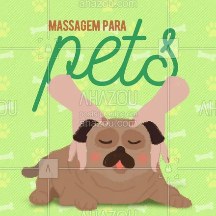 posts, legendas e frases de assuntos variados de Pets para whatsapp, instagram e facebook: Você sabia que o seu pet também fica estressado? É por isso que ele também merece ganhar uma massagem e relaxar. Vamos dar esse presente pra ele?  #AhazouPet #massagem #pet #relaxamento #dogs