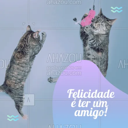 posts, legendas e frases de assuntos variados de Pets para whatsapp, instagram e facebook: Quem tem amigo, tem tudo! 
#pets #ahazou #gatos