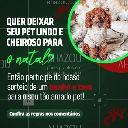 posts, legendas e frases de assuntos variados de Pets para whatsapp, instagram e facebook: Para participar é simples! 1️⃣ Siga o nosso perfil 2️⃣ Curta esta foto 3️⃣ Marque dois amigos (@) nos comentários 4️⃣ Você não pode marcar lojas, famosos e nem perfis fakes 5️⃣ Seu perfil não pode ser bloquado e quanto mais comentar, mais chances de ganhar! A data do sorteio será ____________. Boa sorte. #Sorteio #Pet #AhazouPet #BanhoETosa 