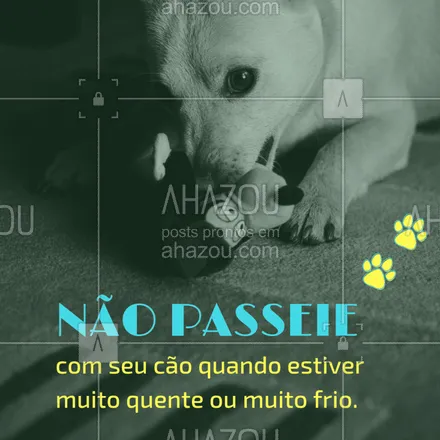 posts, legendas e frases de assuntos variados de Pets para whatsapp, instagram e facebook: Vamos cuidar dos nossos bichinhos! #dicas #dog #ahazou