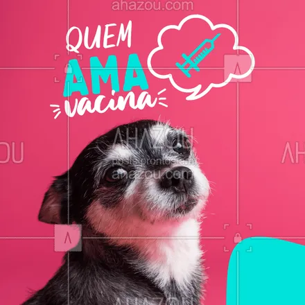 posts, legendas e frases de veterinário para whatsapp, instagram e facebook: Quem ama protege, cuida e vacina  ?? ?
Traga seu PET em nossa loja para deixar as vacinas em dia.
#pet #ahazoupet #vacina #petlovers  