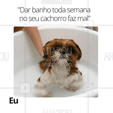posts, legendas e frases de petshop para whatsapp, instagram e facebook: Ah, vamos parar por aí, vai! ?
Deixa a gente curtir o lado bom da vida com nossos dogs.?
#dog #petlovers #mimomesmo #ahazou #itimalia #banho