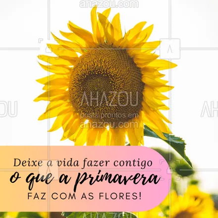 posts, legendas e frases de posts para todos para whatsapp, instagram e facebook: Se permita florir! ?? #primavera #ahazou #motivacional