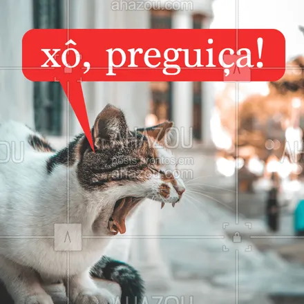 posts, legendas e frases de assuntos variados de Pets para whatsapp, instagram e facebook: Bora minha gente, bom dia! #bomdia #gato #xopreguiça #ahazou #pet