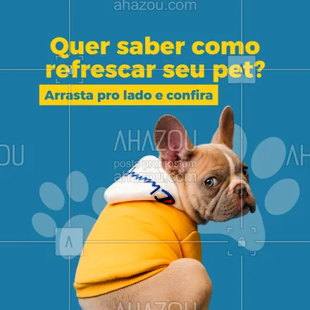 posts, legendas e frases de assuntos variados de Pets para whatsapp, instagram e facebook: Quando seu pet souber que vai ter piscininha, não vai ter como conter a felicidade. #AhazouPet #petoftheday  #petsofinstagram  #petlovers  #ilovepets  #dogs  #cats 