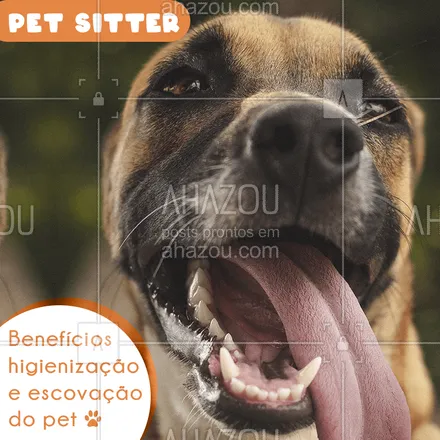 posts, legendas e frases de assuntos variados de Pets para whatsapp, instagram e facebook: Um dos benefícios de contratar o serviço de Pet Sitter para o seu amiguinho! ❤️ #ahazou #petsitter #beneficios 