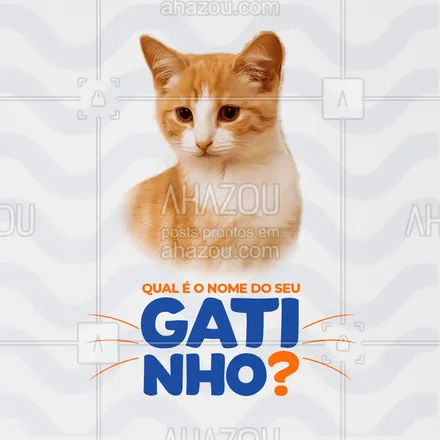 posts, legendas e frases de assuntos variados de Pets para whatsapp, instagram e facebook: Meoww! Qual é o nome do seu gatinho? ❤️?
#AhazouPet #cats #ilovepets #AhazouPet 