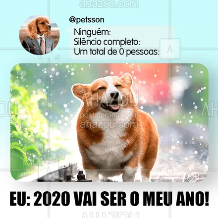 posts, legendas e frases de assuntos variados de Pets para whatsapp, instagram e facebook: Confia que vai dar certo! ? #anonovo #2020  #ahazoupet  #petlover #cachorro #dog