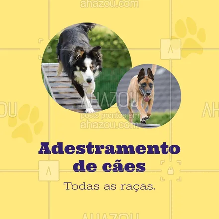posts, legendas e frases de dog walker & petsitter para whatsapp, instagram e facebook: Serviço eficaz e de qualidade!
Entre em contato.
#AhazouPet #adestramento #caes #cachorro #racas   #dogtraining 