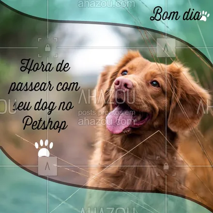 posts, legendas e frases de petshop para whatsapp, instagram e facebook: Seu DOG pede aquele passeio no petshop favorito  ?? #Petshop #Ahazou #BomDia 