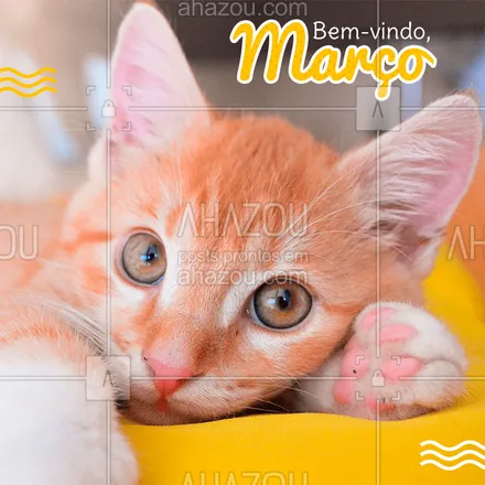 posts, legendas e frases de assuntos variados de Pets para whatsapp, instagram e facebook: Que seja um mês incrível para todos nós! ❤️️ #março #ahazou 