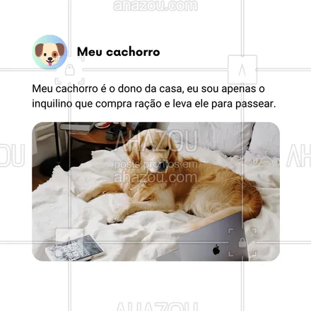 posts, legendas e frases de dog walker & petsitter, veterinário, petshop, assuntos variados de Pets para whatsapp, instagram e facebook: Às vezes me pergunto: quem é que realmente manda aqui em casa? Spoiler: não sou eu! 😂 Meu cachorro é o verdadeiro rei do pedaço. Eu só sou o inquilino que paga as contas, compra ração e ainda tem que levar o chefão pra passear. Quem mais vive nessa realidade onde o doguinho decide tudo? 🐾🐶 Já aceitei meu papel de assistente oficial, e tá tudo bem! 😂🙌

#AhazouPet #DonoDeTudo #VidaDeInquilino #HumorCanino #CachorroMandão #RealezaCanina