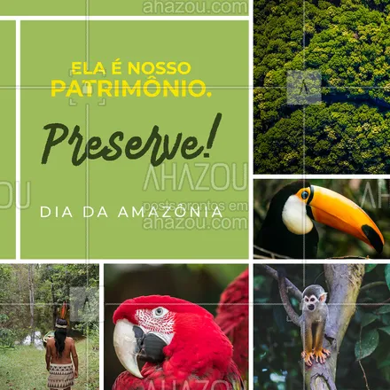 posts, legendas e frases de posts para todos para whatsapp, instagram e facebook: Ela é um dos patrimônios do nosso país e cabe a todos nós o dever de preservá-la. Feliz Dia da Amazônia!🎉💚 #diadaamazônia #amazônia #floresta #florestaamazônica #ahazou