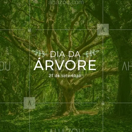 posts, legendas e frases de posts para todos para whatsapp, instagram e facebook: Plantar uma árvore é cuidar do amanhã! #diadaarvore #ahazou #flores #alegria #vida #ahazou 