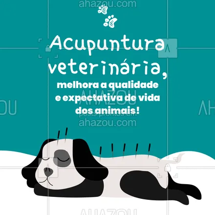posts, legendas e frases de veterinário para whatsapp, instagram e facebook: Isso mesmo, acupuntura veterinária, o tratamento que você tanto gosta, agora seu pet pode ter também! #AhazouPet #medicinaveterinaria #medvet #vetpet #veterinarian #veterinario #vet