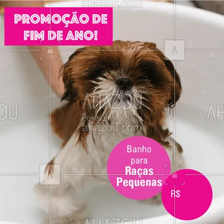 posts, legendas e frases de petshop, assuntos variados de Pets para whatsapp, instagram e facebook: Não perca essa promoção e traga seu peludo para um banho! #banho #pet #dog #ahazoupet #promocao #fimdeano