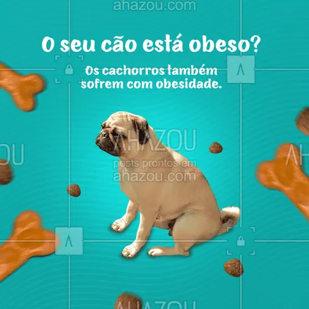 posts, legendas e frases de assuntos variados de Pets para whatsapp, instagram e facebook: As causas mais comuns de cachorros obesos são a alimentação inadequada e pouco exercício físico – ou as duas coisas! Lembre-se, você é o responsável pela vida, proteção e alimentação do seu cão. ? #AhazouPet #obesidade #alimentacao #racao #cuidados #cachorro #dog #dogsofinstagram #petlovers #ilovepets