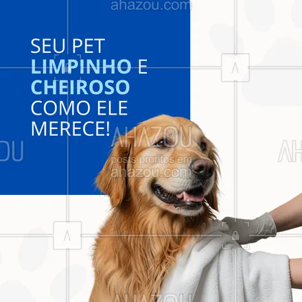 posts, legendas e frases de  para whatsapp, instagram e facebook: Dia de spa pro seu melhor amigo! 💦🐶 agende o banho e tosa e deixe seu pet ainda mais lindo e feliz. carinho, cuidado e produtos de qualidade esperam por ele!
#banhoetosa #petsfelizes #cuidadoscomopet #banhoespecial #amorpelosanimais #banhoetosanatural #petshop #cuidadocomamor #petlimpo #todospelopet
