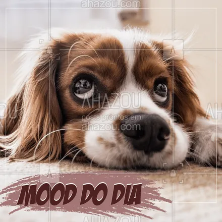 posts, legendas e frases de assuntos variados de Pets para whatsapp, instagram e facebook: O dia está sendo de descanso e reflexão, mas amanhã estaremos de volta!
#pet #mood #ahazou #descanso #puppy